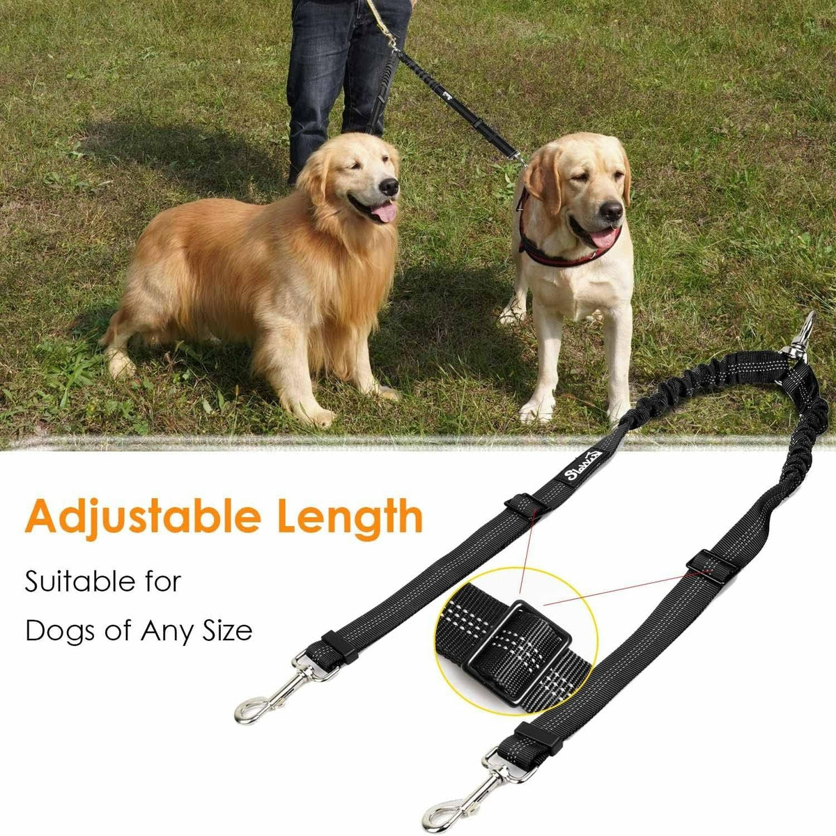 Double Dog Leash - Double Leash for Two Dogs No Tangle Design