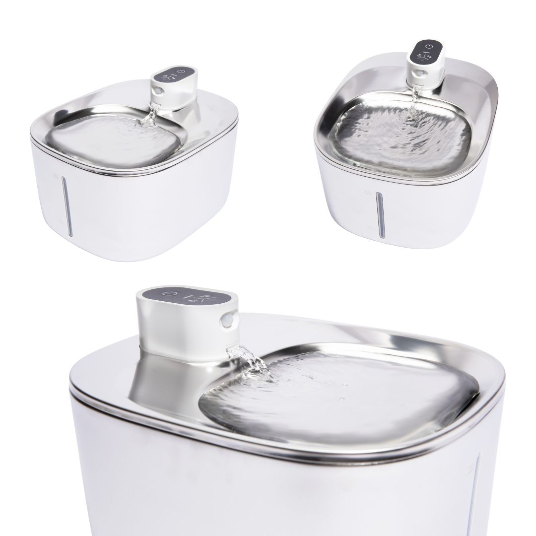 Cat Drinking Fountain - Automatic Stainless Steel Pet Water Dispenser with Ultra Quiet Pump