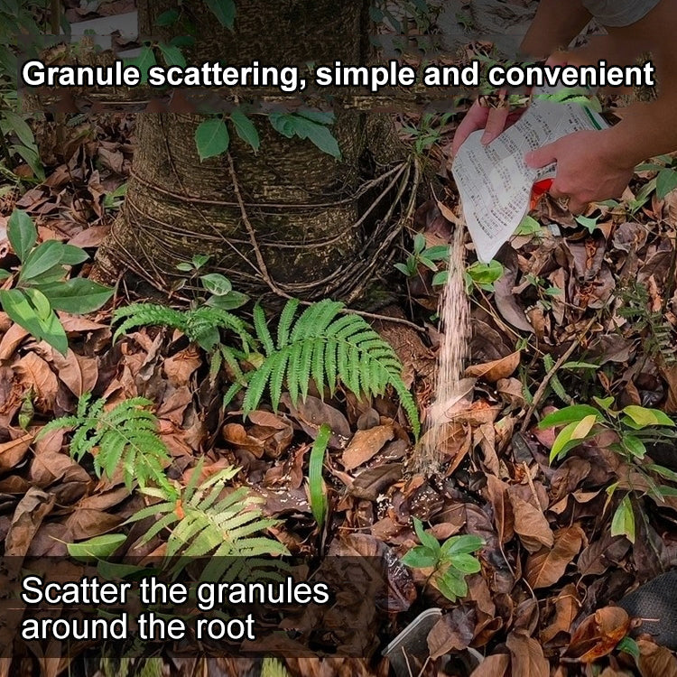 【Hexazinone herbicide】Doesn't Harm Soil, No Tools Needed！